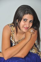 Manisha Gallery